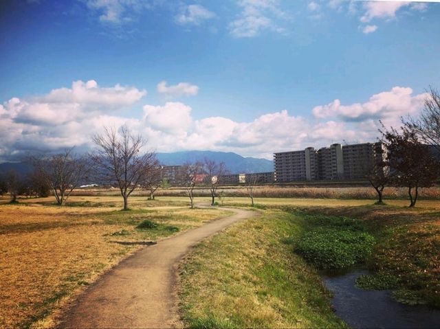 復活の泉