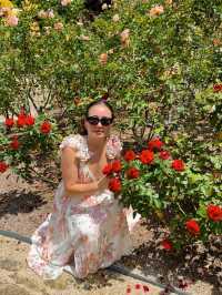 Hunter valley Gardens