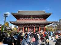 Itinerary 11 Days in Japan