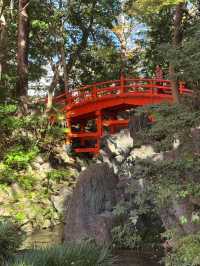Koishikawa Korakuen (小石川後楽園)