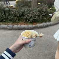 Disneyland shanghai ใช้แพคเกจ ตั๋ว+คูปองอาหาร