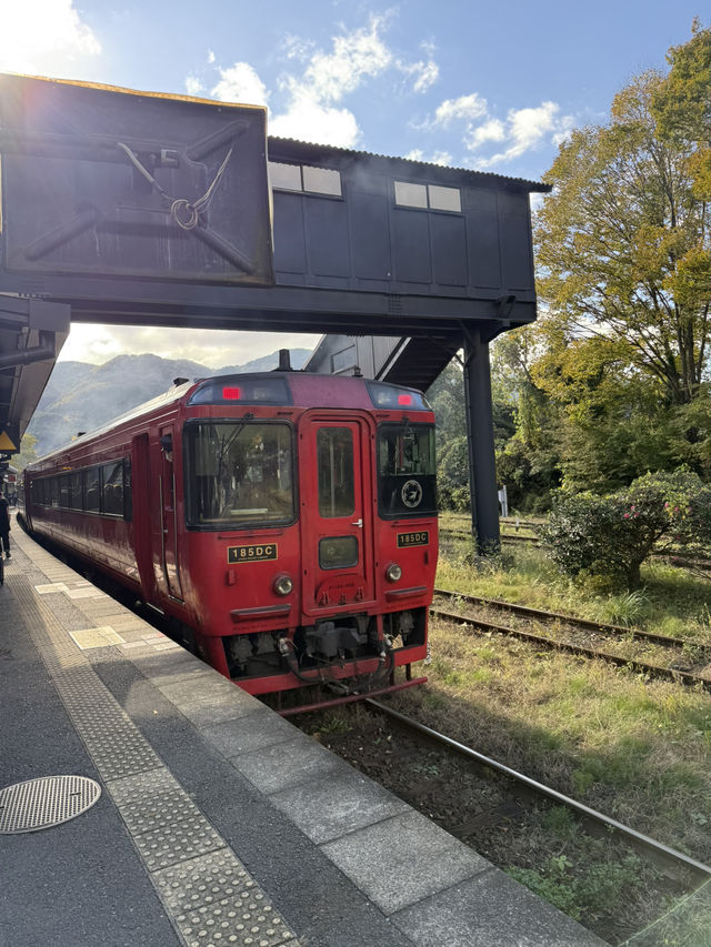 🍁由布院♨️