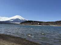 富士山 山中湖伊豆自駕遊之旅