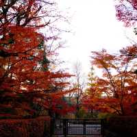 Kyoto - Eikando đừng nên bỏ qua