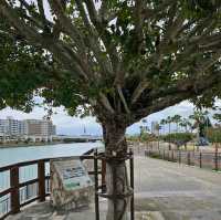 Onoyama Park