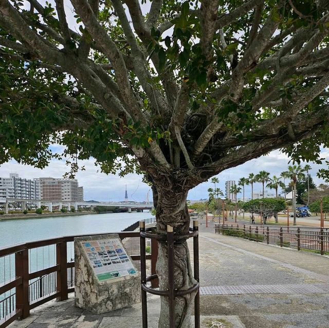 Onoyama Park