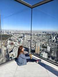 東京高229米的展望台