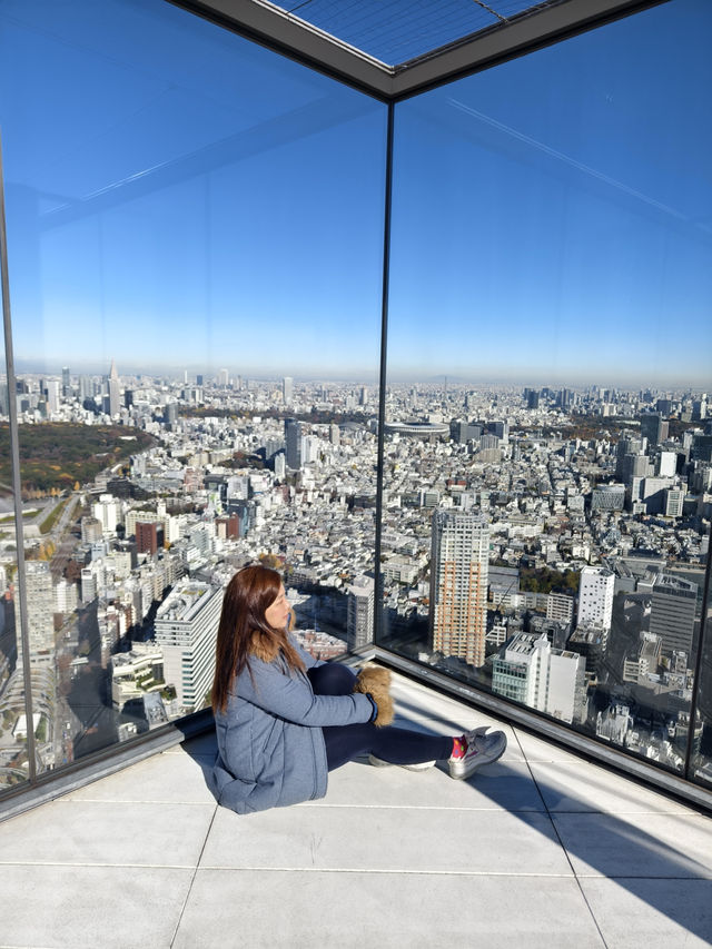 東京高229米的展望台