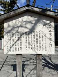 佐賀・女子ひとり旅