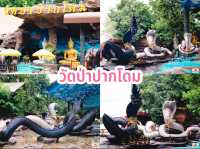 วัดป่าปากโดม