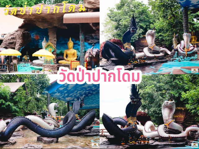 วัดป่าปากโดม