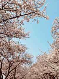 A Photographer’s Paradise in Spring!