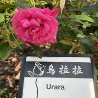 士林官邸公園 (Shilin Official Residence Park) 