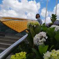 แลนด์มาร์กสุดฮิตกลางเมืองดาลัด 
