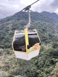 Elevate Your Tea Experience: Discovering Maokong in Taipei 🫖