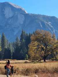 Yosemite: A Year-Round Wonderland, Day and Night!