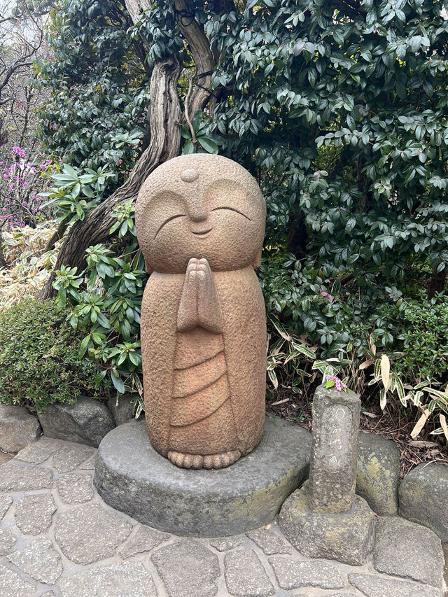 探索鎌倉長谷寺🌿 觀音菩薩與弁天窟的神秘魅力