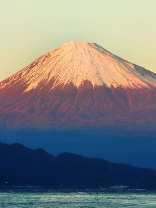 いったい誰なの？毎日みんなを日本に行かせようとしてるのは…🤣🇯🇵