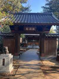 東京豪德寺 
