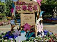 賞花及花伴野餐初體驗在大安森林公園