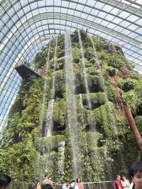 Sakura, Supertrees, and Sundae Bliss! Discovering the Magic of Gardens by the Bay