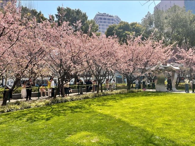 Jing’an Sculpture Park: A Futuristic Hanami Experience