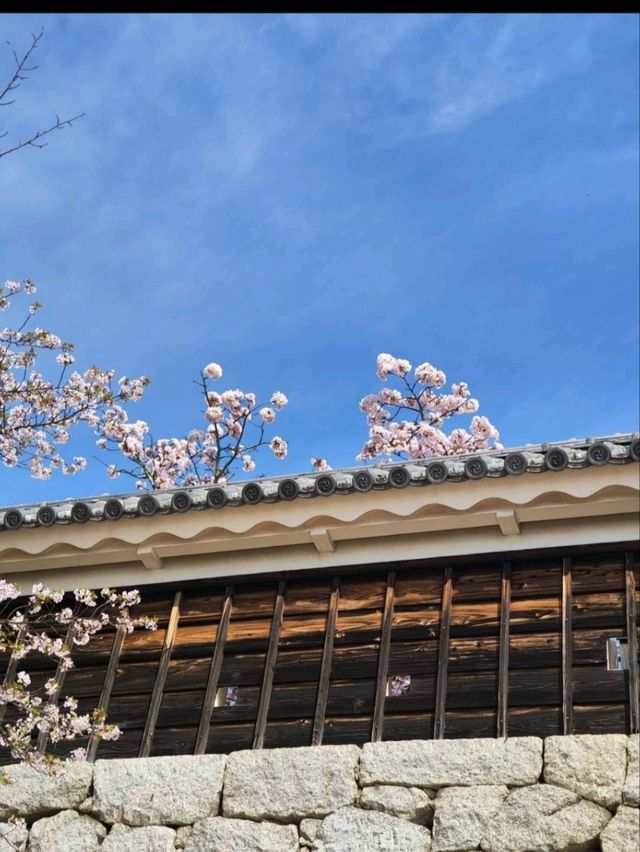 「春日-松山城」（日本.四國.愛媛縣）