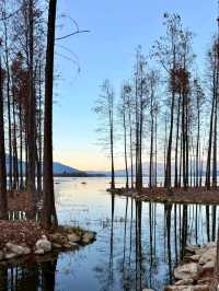 Shenjiang Village: Spring’s Secret Charm