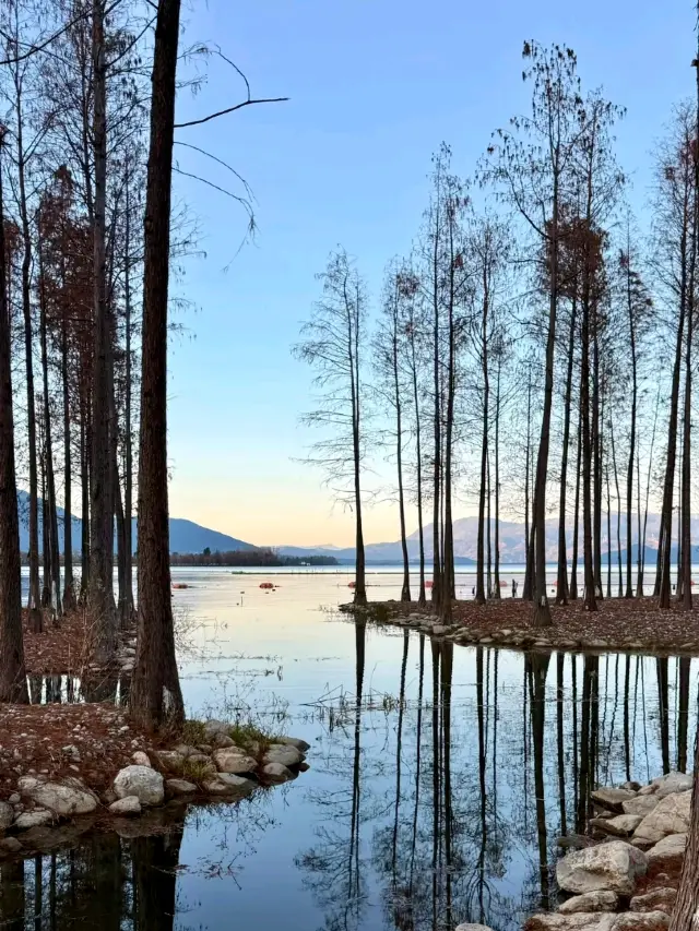 Shenjiang Village: Spring’s Secret Charm