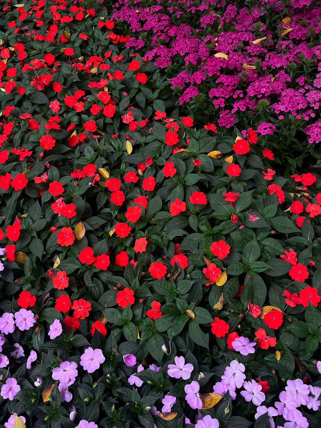 Shamian Tourist Zone