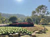  **🌸【廈門園林植物園】花卉園區：歐式花園裡的四季花海，邂逅浪漫與詩意！**  