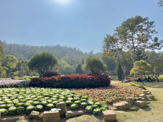  **🌸【廈門園林植物園】花卉園區：歐式花園裡的四季花海，邂逅浪漫與詩意！**  