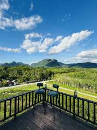 ไร่ชา 1000 ไมล์ – แวะพักชิมชา กาแฟ สไตล์ชิลๆ