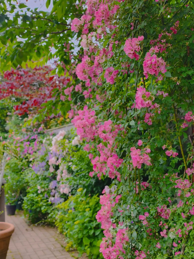 Yokohama English Garden