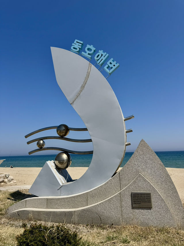 강원도 양양에서 만난 푸른 하루🌊