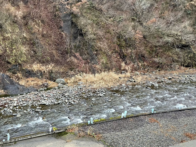 冬の静寂に包まれる美人林散策