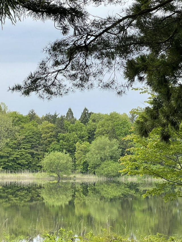 【青森×富士見パーク】湖面に映り込む木々の美しさ