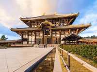 Nara Park 