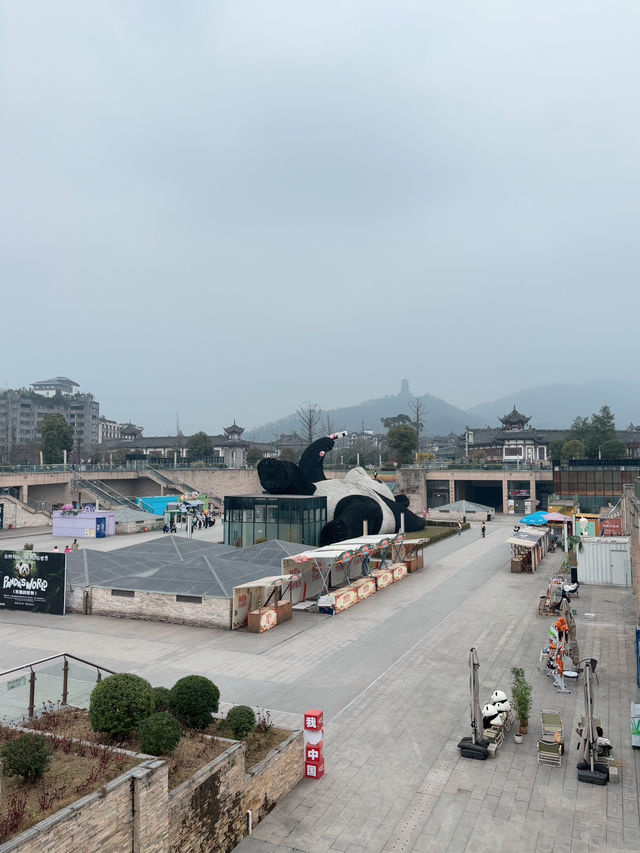 ไปถ่ายรูปกับ Selfie panda ที่ Dujiangyan กันเถอะ
