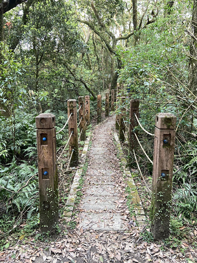 新店第一高峰-獅仔頭山｜古道遺跡探險路線推薦！