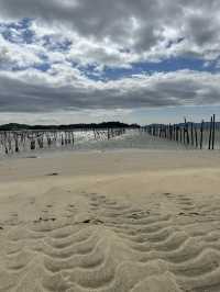 【愛知】無人島への幻の道 トンボロ干潟 潮干狩りスポット