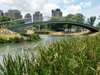 #禾風公園-桃園市桃園區