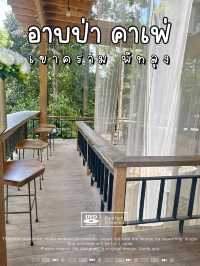 อาบป่าคาเฟ่