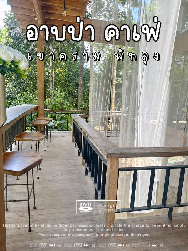 อาบป่าคาเฟ่