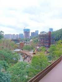 親子景點 - 免費入場龍崗兒童公園