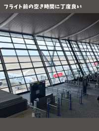 【上海女一人旅】浦東空港のラウンジ正直レビュー！利用価値ある？