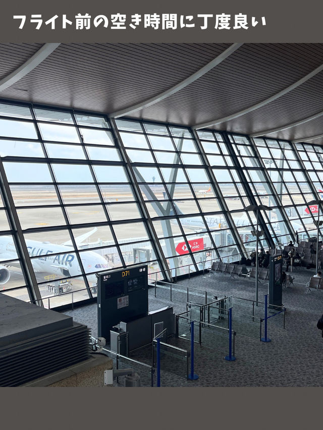 【上海女一人旅】浦東空港のラウンジ正直レビュー！利用価値ある？