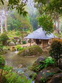 A Peaceful Walk in the Clouds: Japanese Village at Colmar