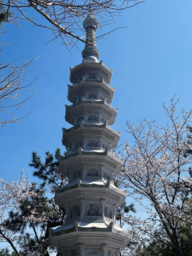 Spring Magic at Korea’s Most Beautiful Seaside Temple 