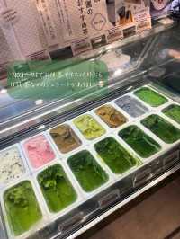 日本一濃い！？抹茶ジェラートが食べれる🍵浅草の抹茶アイス